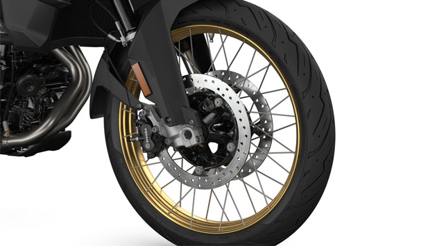 We see the rims in anodized gold.