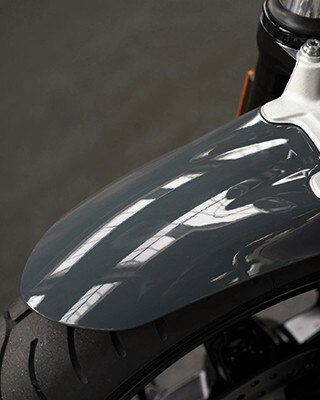 R nineT Pure front-wheel cover