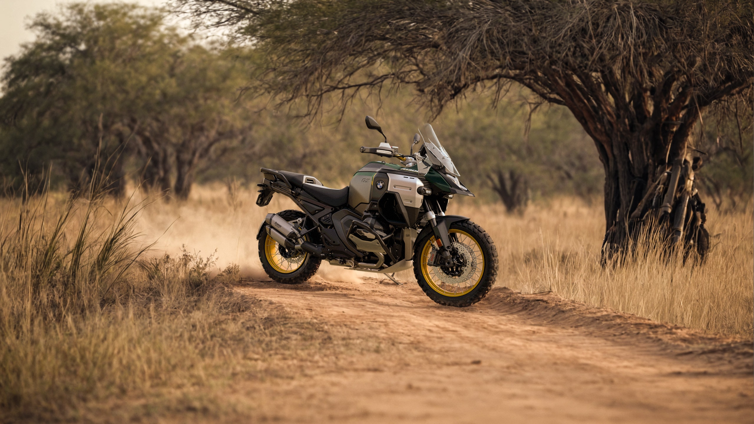 GS ADV New 2025 BMW F 900 GS Cape Fear Moto Group | Wilmington NC 28403